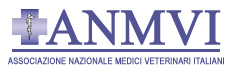www.anmvi.it
