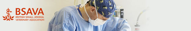 http://www.bsava.com