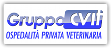 www.gruppocvit.it