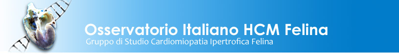 www.gruppocvit.it