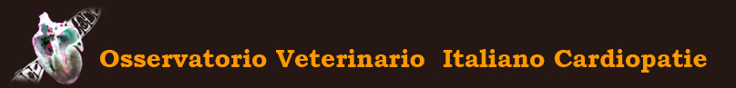 www.osservatorioveterinariocardiopatie.com