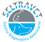 CENTRO DIAGNOSTICO VETERINARIO