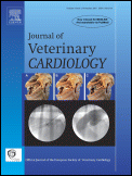 veterinary cardiology